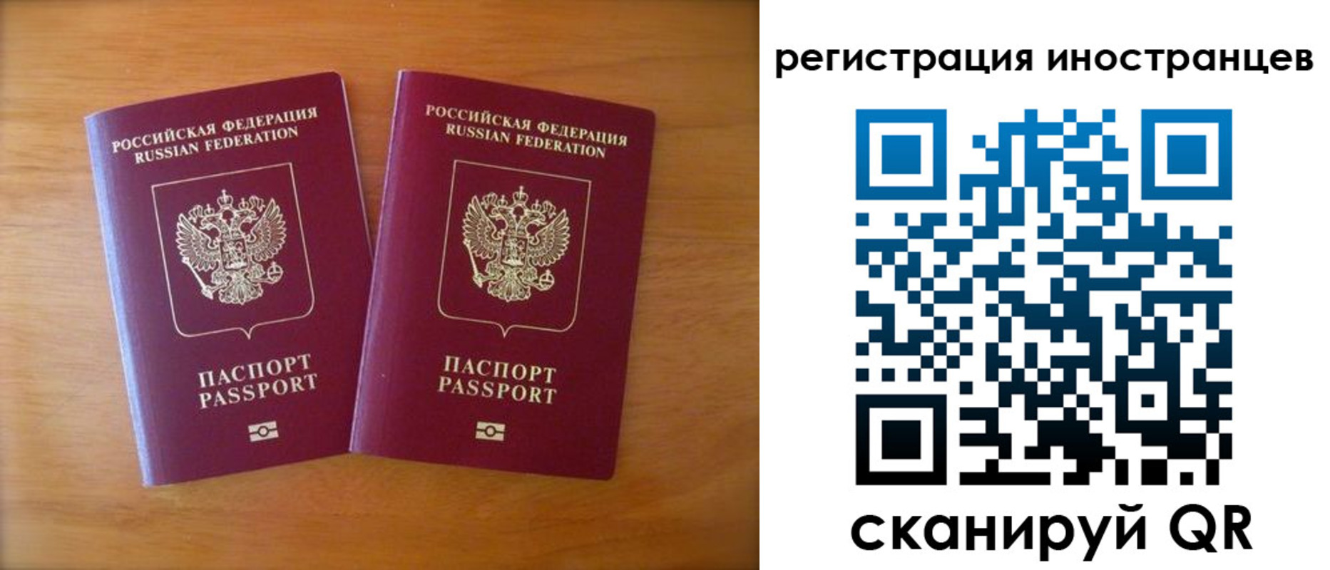 прописка поиск в Мурманской области